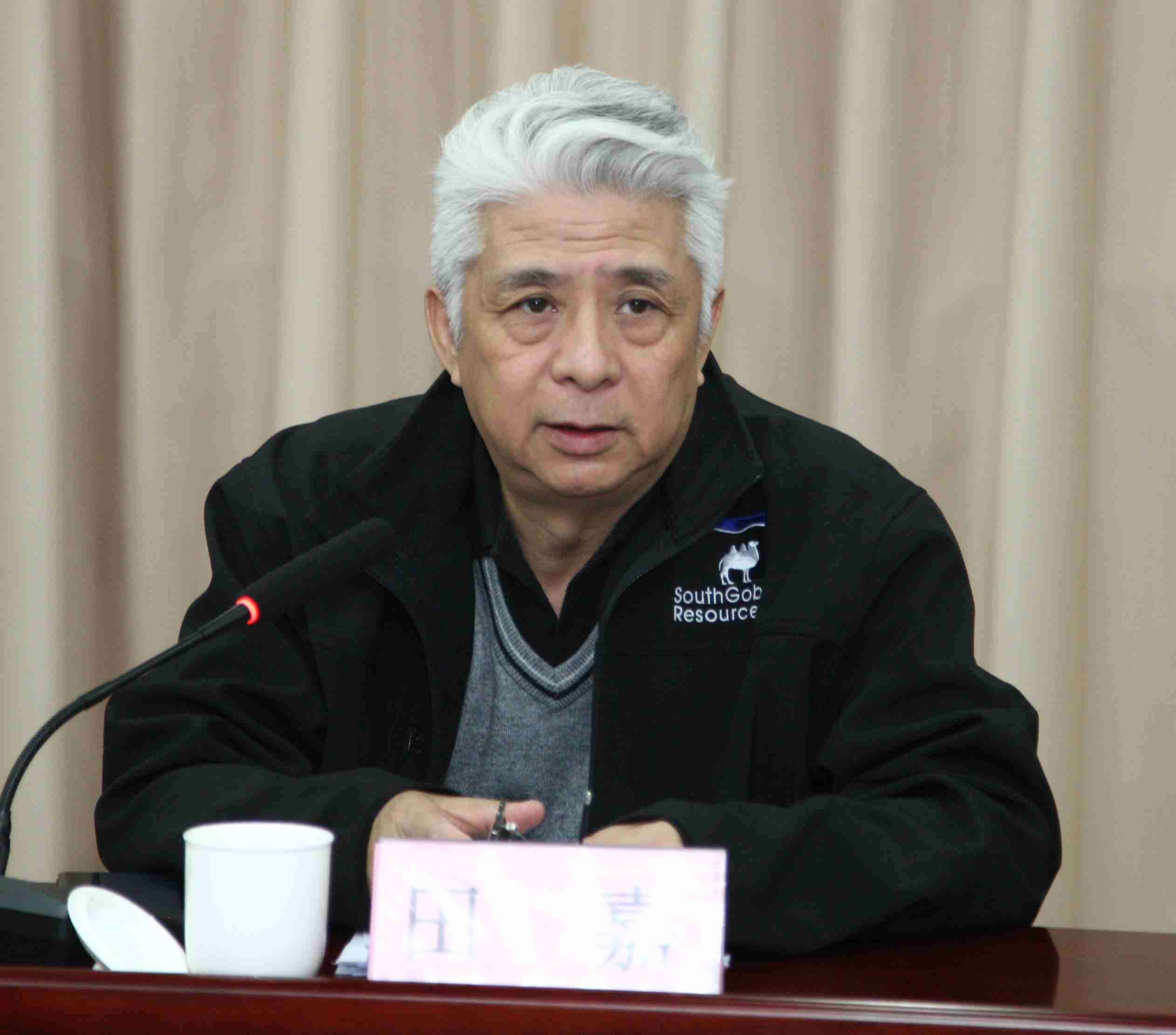 田嘉发言