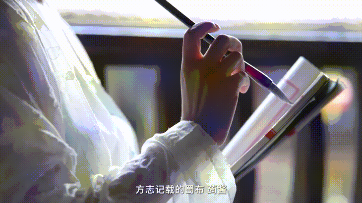 【读方志 游中国】锦官城启丝绸路 岷水韵扬巴蜀风