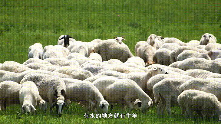 【读方志 游中国】丝路千年书壮阔 草原万里展苍茫
