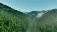 1746516936753701.gif