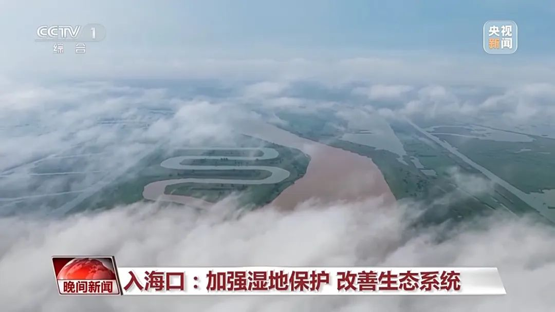 图片17.png